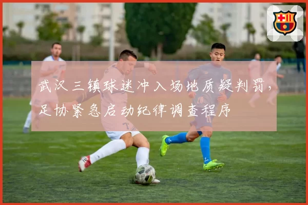 武汉三镇球迷冲入场地质疑判罚，足协紧急启动纪律调查程序