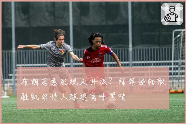 布朗恶意犯规未升级？绿军逆转取胜凯尔特人球迷高呼黑哨