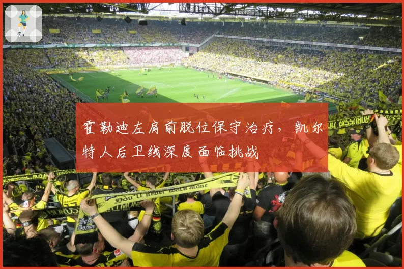 霍勒迪左肩前脱位保守治疗,凯尔特人后卫线深度面临挑战