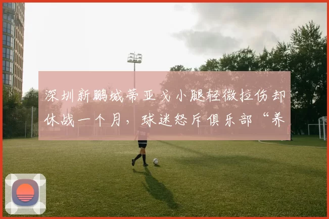 深圳新鹏城蒂亚戈小腿轻微拉伤却休战一个月，球迷怒斥俱乐部“养伤过度”