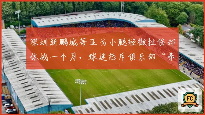 深圳新鹏城蒂亚戈小腿轻微拉伤却休战一个月，球迷怒斥俱乐部“养伤过度”