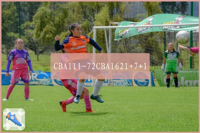 CBA111-72CBA1621+7+1