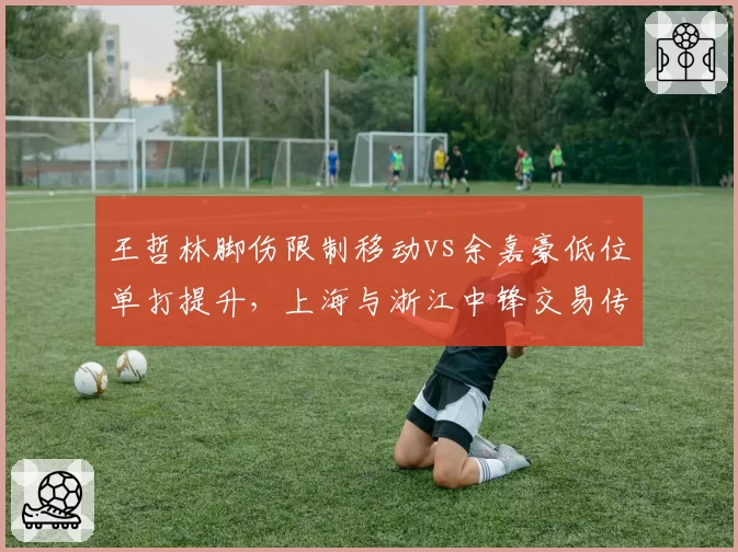 王哲林脚伤限制移动vs余嘉豪低位单打提升,上海与浙江中锋交易传闻四起