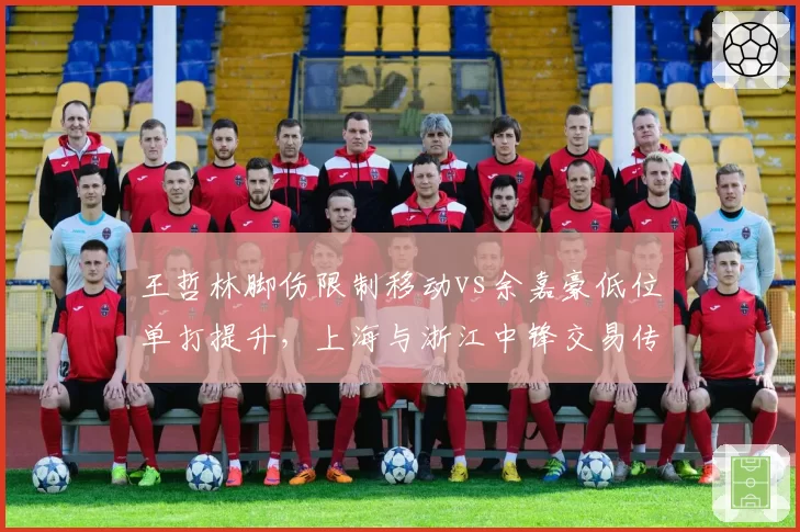 王哲林脚伤限制移动vs余嘉豪低位单打提升，上海与浙江中锋交易传闻四起